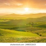 随缘居官网官网:探索随缘居的独特魅力与丰富资源 ff88z7