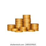 随缘居又打不开了,2024年我们该如何应对? j4h74v44