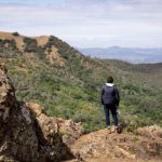 限时活动:免费领取1天芒果VIP会员,畅享精彩内容! zjnjg