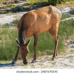 随缘居论坛APP使用指南:功能详解与操作技巧 znq5j2